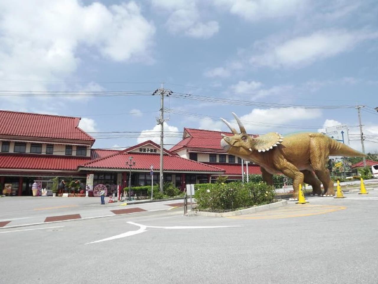 Okinawa Churaumi TokuToku Pass - image 15