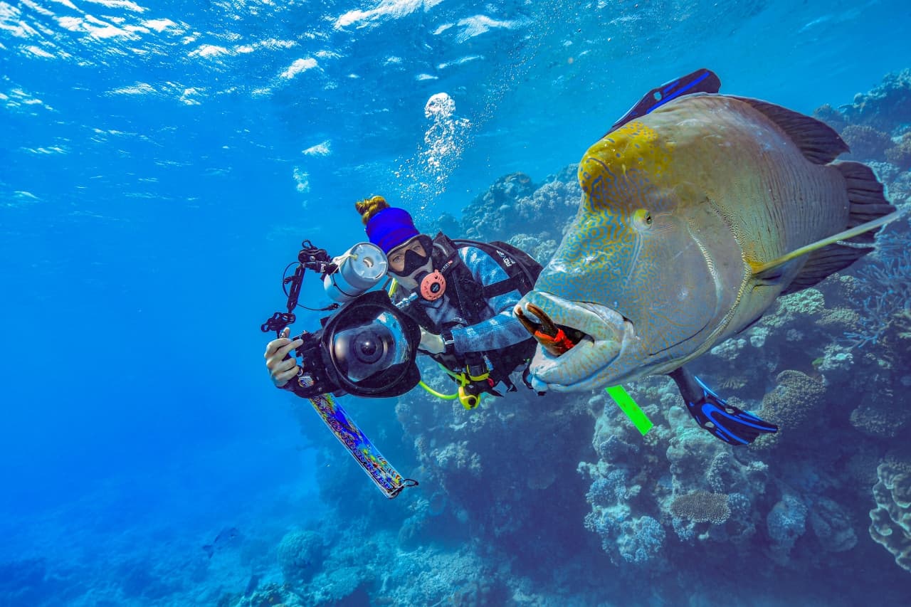 Great Barrier Reef Full-Day Pontoon Tour with Reef Magic from Cairns - image 12