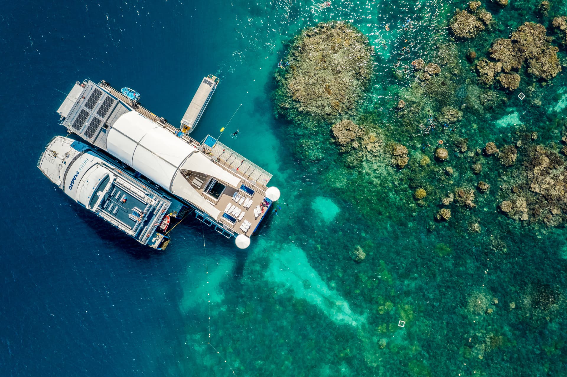 Great Barrier Reef Full-Day Pontoon Tour with Reef Magic from Cairns - image 7
